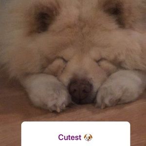 Meet your Posher, Cris